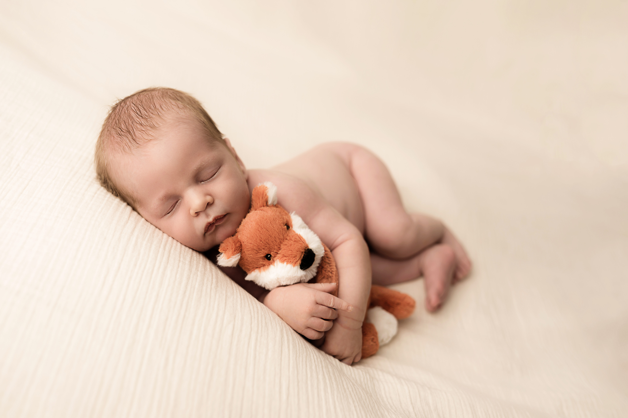 photographe bébé à domicile lille haubourdin