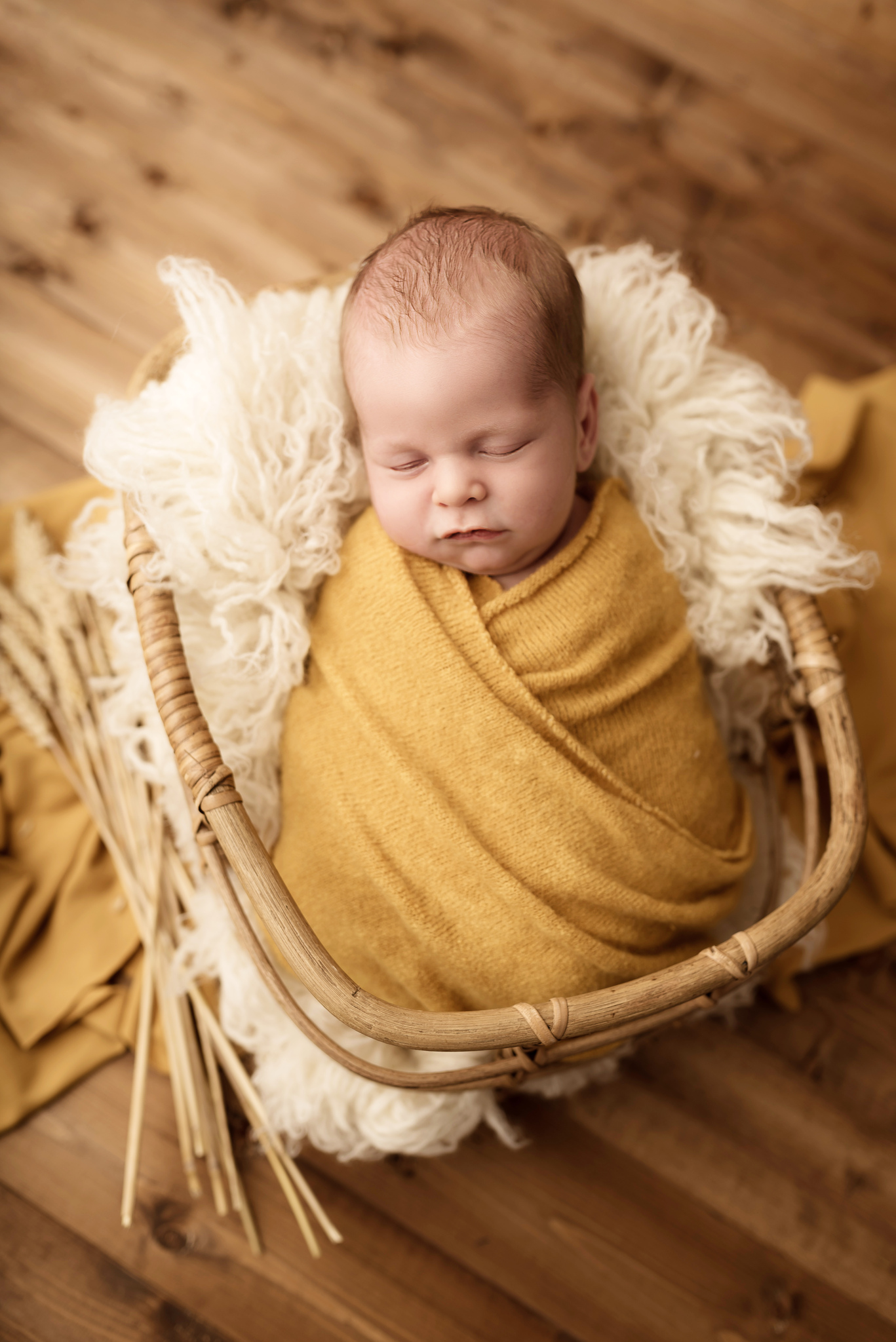 shooting photos naissance lille haubourdin 