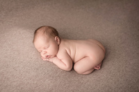photographe naissance lille haubourdin