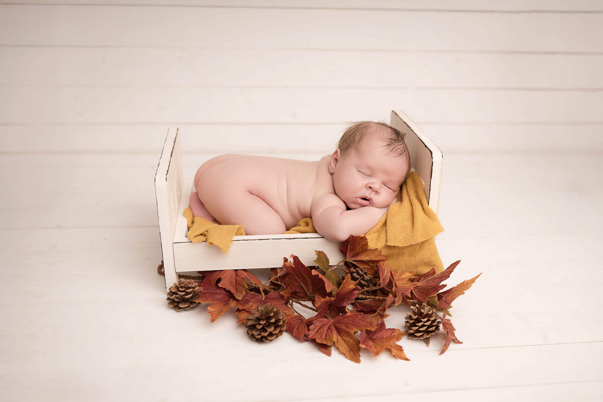 portrait bébé lille haubourdin
