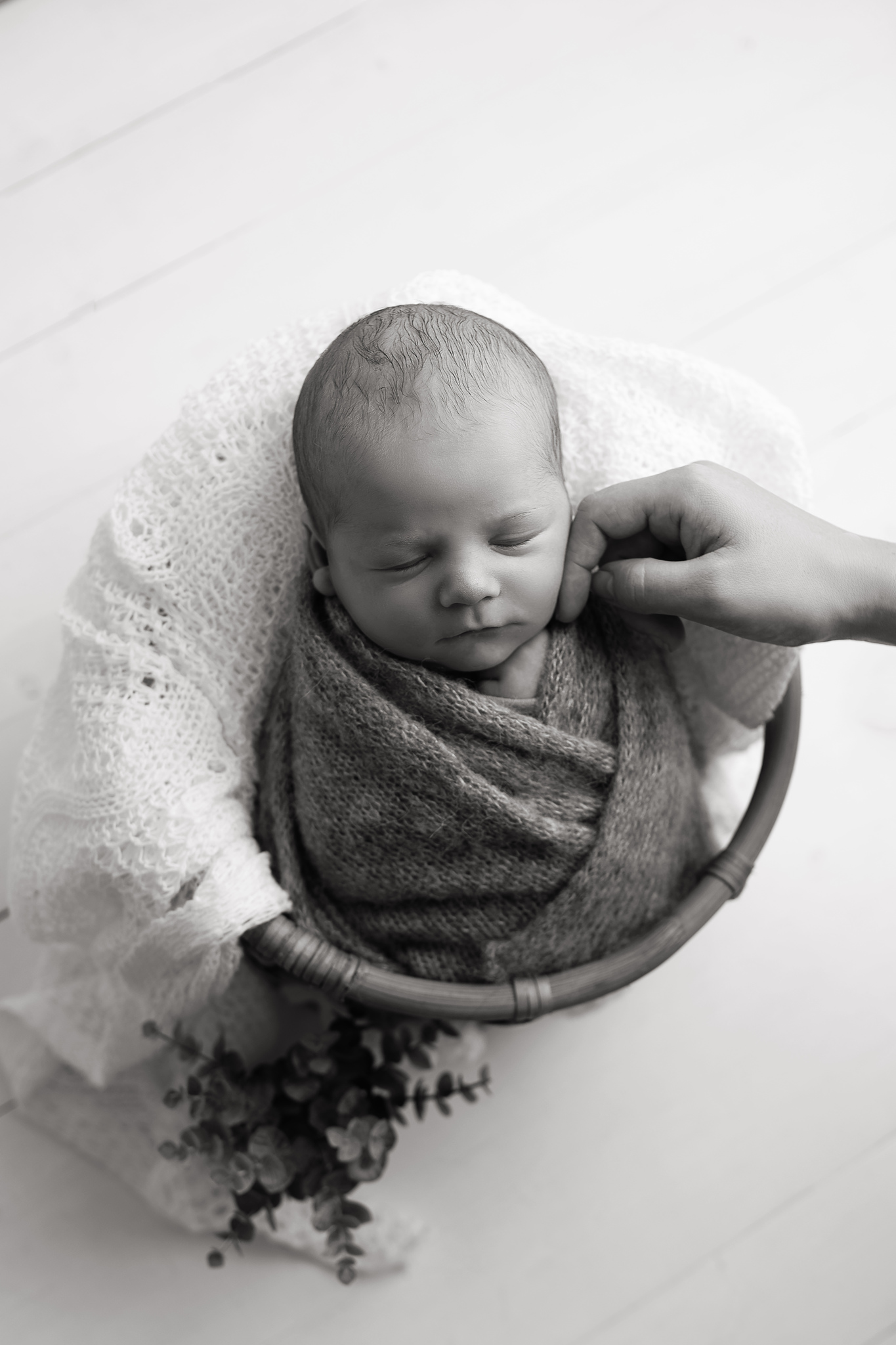 photographe nouveauné luxe