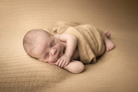 photographe bébé à domicile lille haubourdin